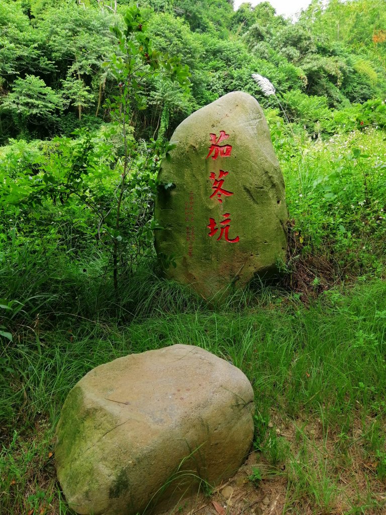 二水~台灣百大必訪步道~坑內坑森林步道_1123433