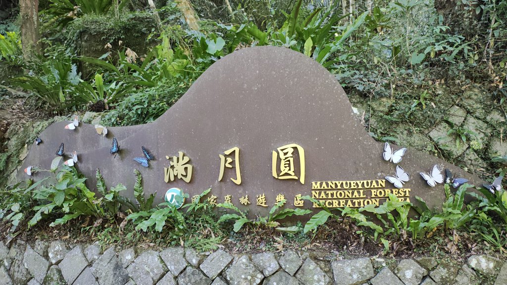 滿月圓_2938856