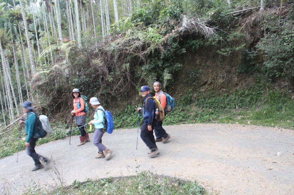 20230311南投大柯山-西勢頭山_2071043