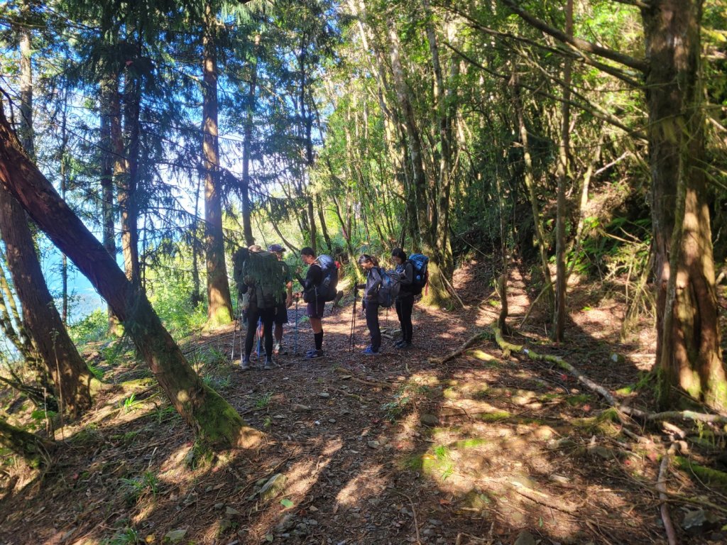 20231103 南一段四天_2356054