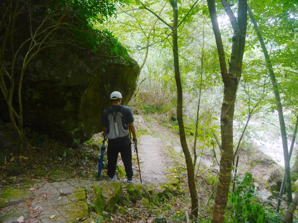 五指山橫向步道_1029418