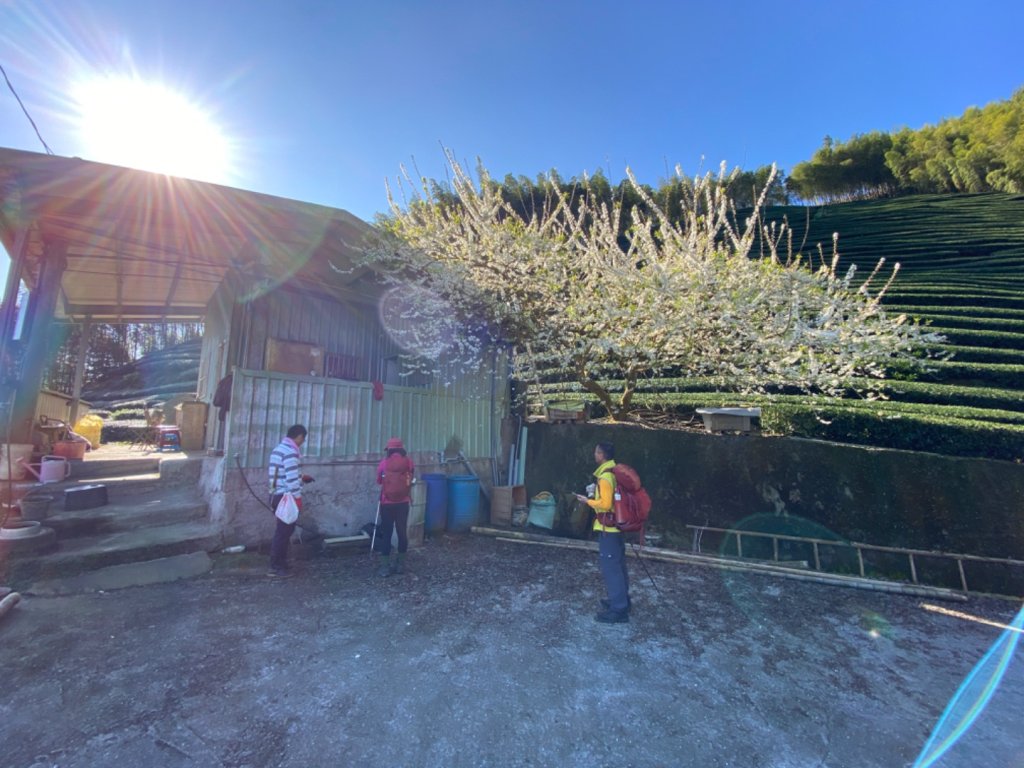 鹿谷大崙尾山、和雅挑竹古道7號、和雅挑竹古道6號O型走_2425917