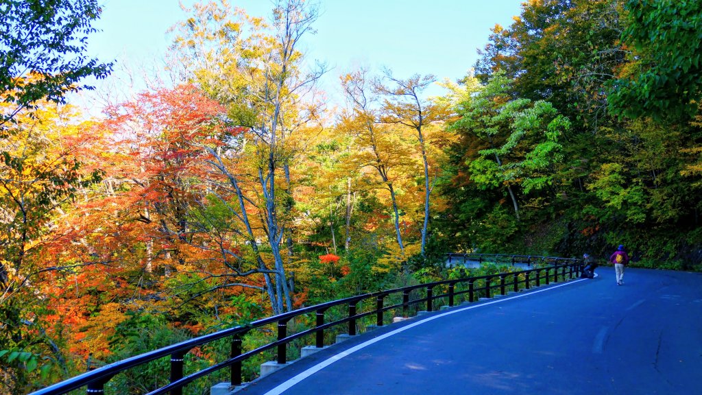 秋田縣白神山地十二湖_2929824