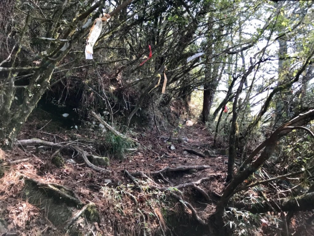 石山 石山引水道_551383