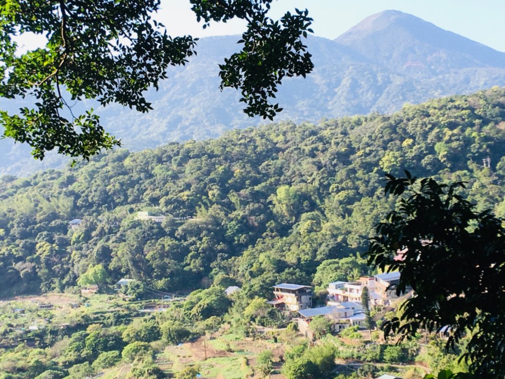 1090315天母古道_881323