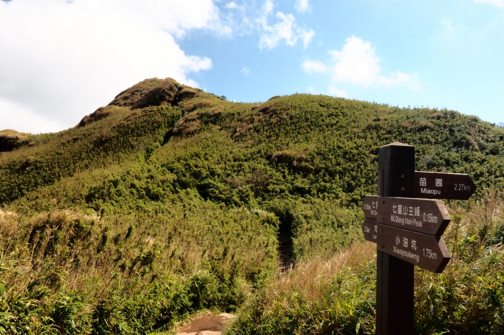 七星山主東峰走春_95369