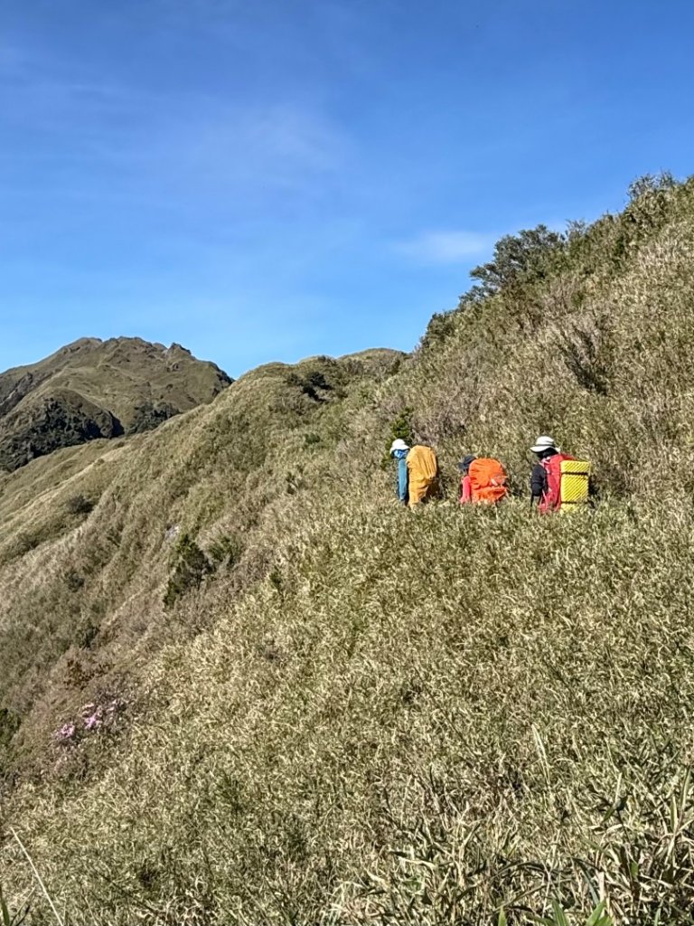 能高安東軍 被水鹿包圍的奇幻冒險旅程_2811124
