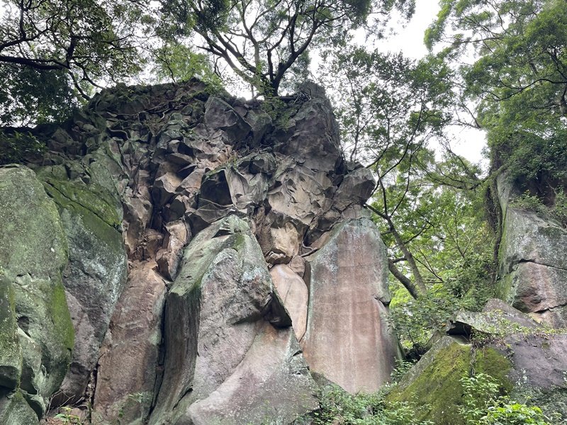 觀音山秘境_2634059