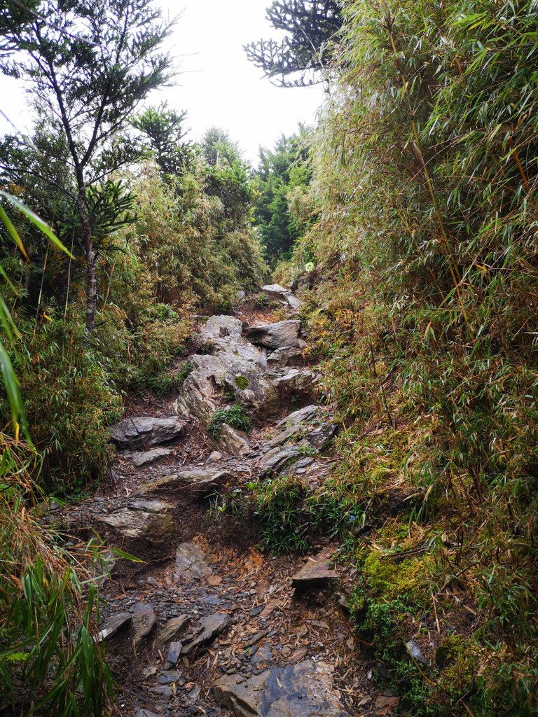 2019/08/19~20玉山前五峰_655941
