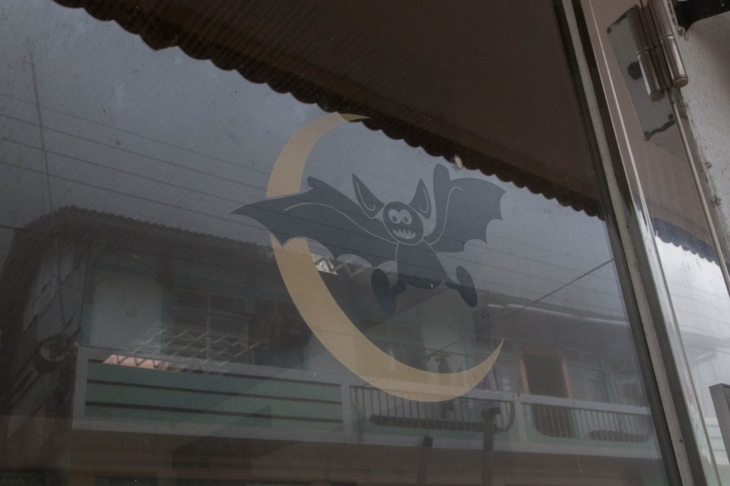 步道巡訪員│四大天王山步道一月巡訪日誌_817767