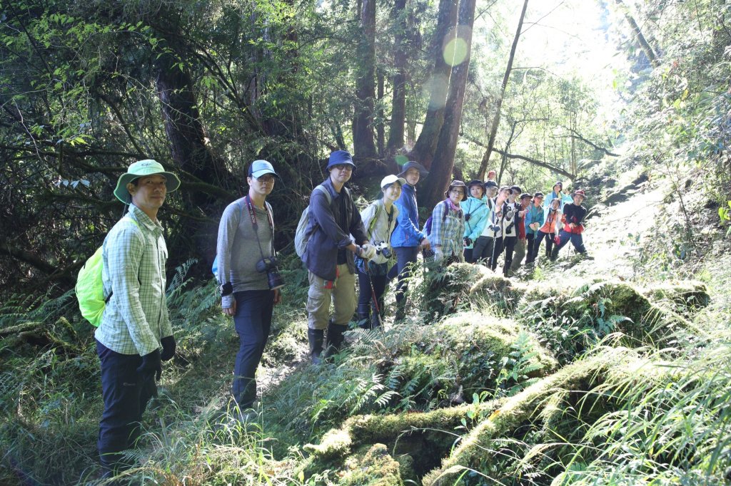 水樣森林 第一次在山裡過夜_658618