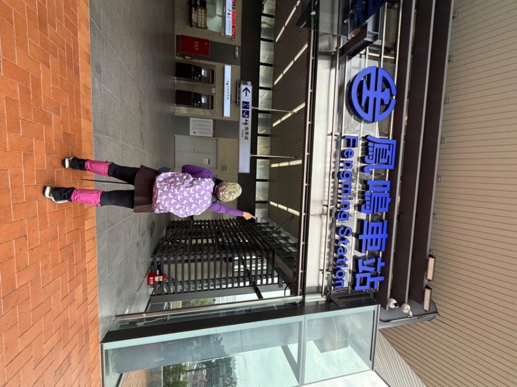 鳳鳴-龜山-鶯歌六連峰縱走/樹林大凍山-鶯歌蛋石山-鶯歌陶瓷博物館_2697016