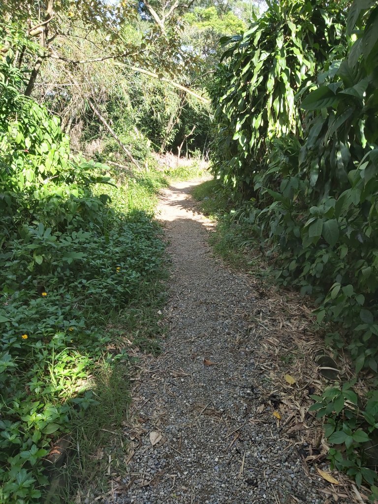 20200823_北市文山仙跡岩_1101548