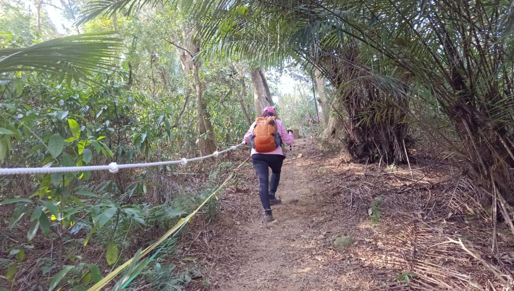 (姨婆趴趴走)第四十五集:新竹竹東三山（新具庄山、樹杞林山、員崠子山）環狀縱走_2662341