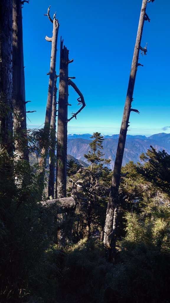 一日南臺首岳 關山(2023.1.13)_1994211