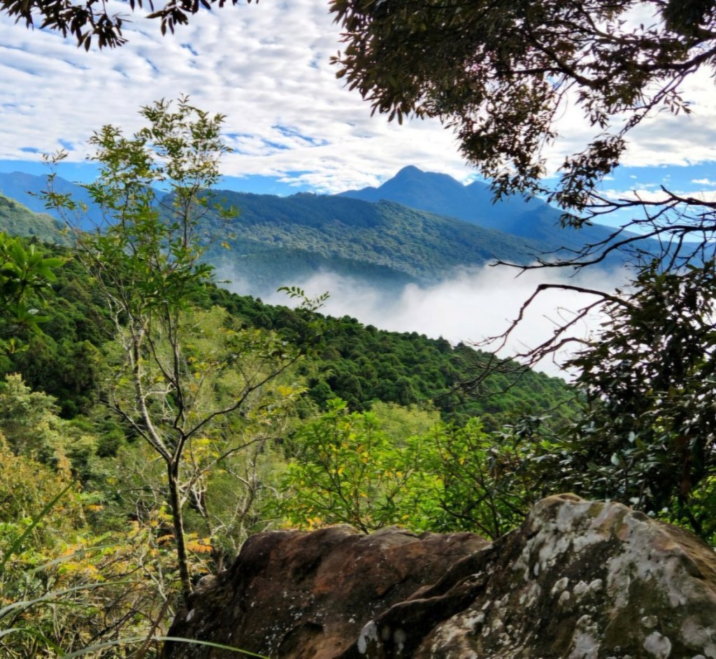 【中級山縱走 】向天湖山，三角湖山，光天高山_2742247