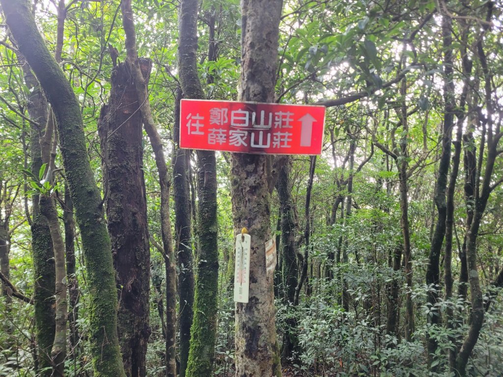 20230812 志繼山 東眼山 拉卡山 卡外山  東眼四瞳 東眼山國家森林遊樂區_2245970