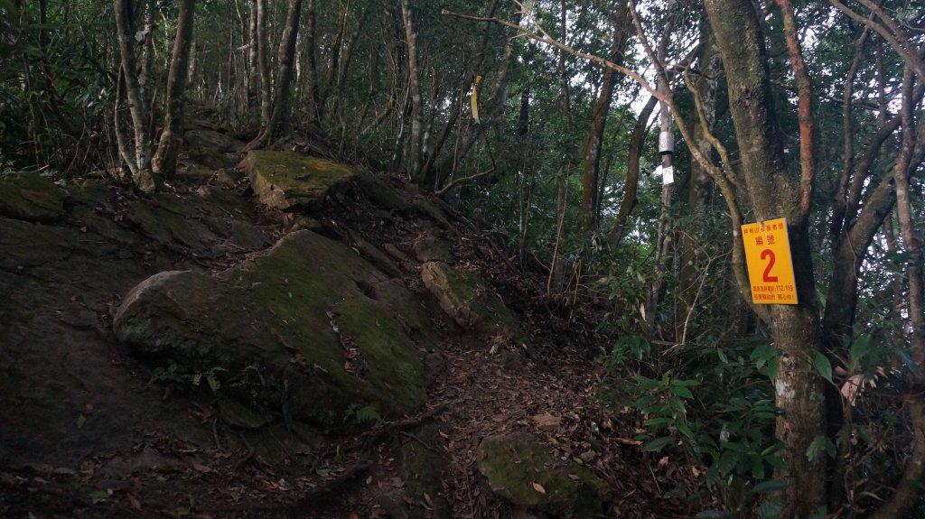 神仙縱走(仙山至神桌山)_1252556