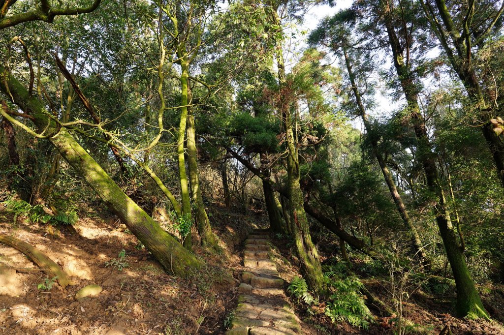 臺北 士林 香對山、頂山、杏林山、北五指山、高頂山、北頂山、馬蕃山、頂山溪山、五指山_2703239