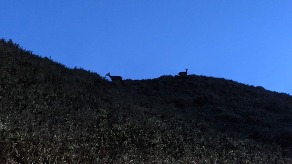 白石安東軍高山湖泊草原，空靈幽靜。_1756902