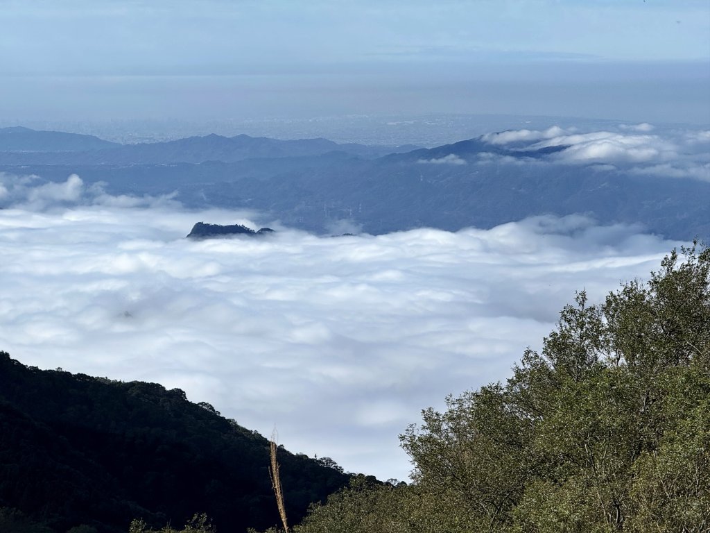 騰龍山-橫龍古道-橫龍山 20241123_2652985