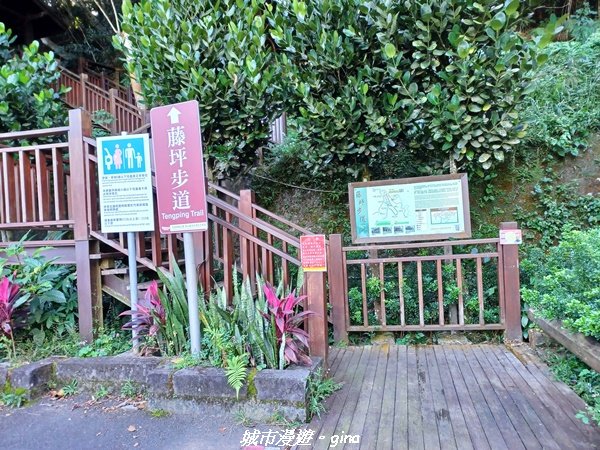 【新竹峨嵋】古樸風情。 獅頭山步道群O型_2397078