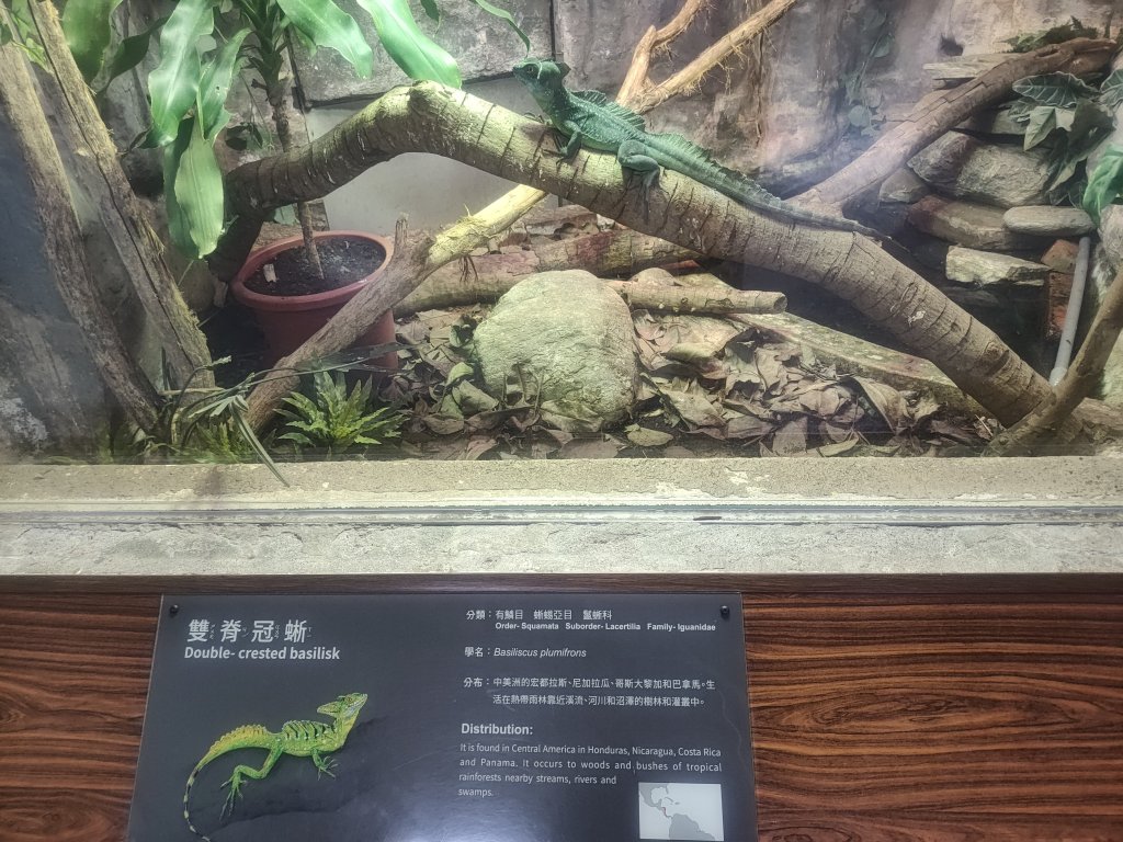 台北動物園_2663978