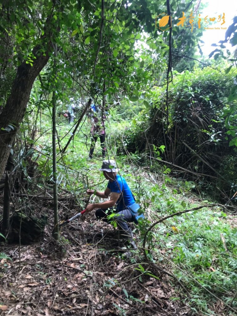 樟之細路 | 08/24砍草任務_660433