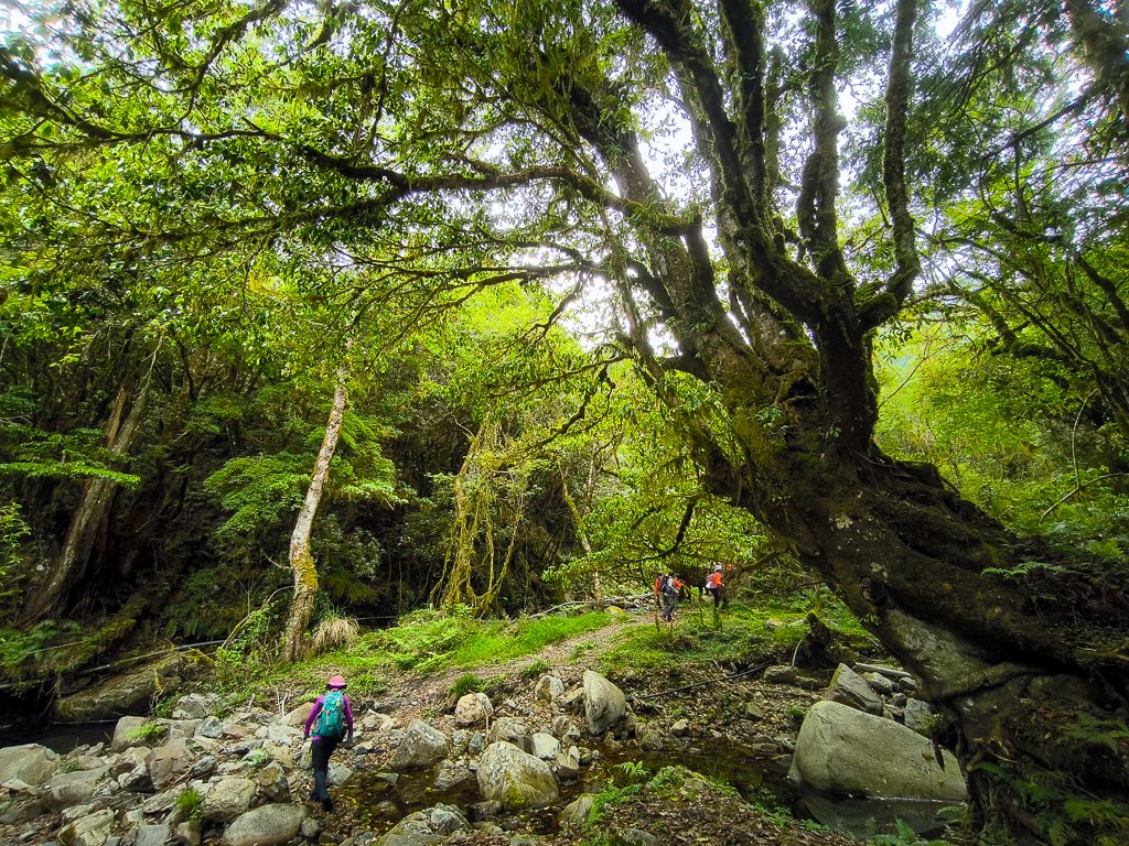 2025-05-17 羅葉尾溪秘境封面圖