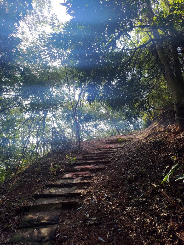 林口老公崎-新林步道O形_1978982