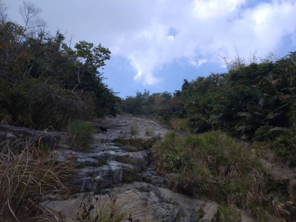 嘉義大埔永樂村「大岩壁」_2411671