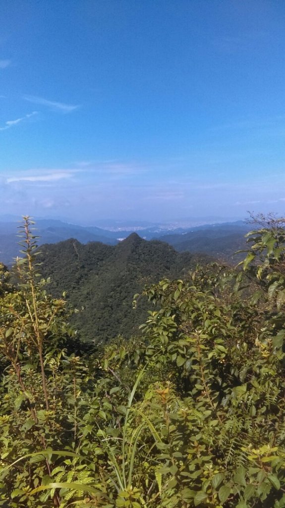 薯榔尖山、石筍尖山O走_656761