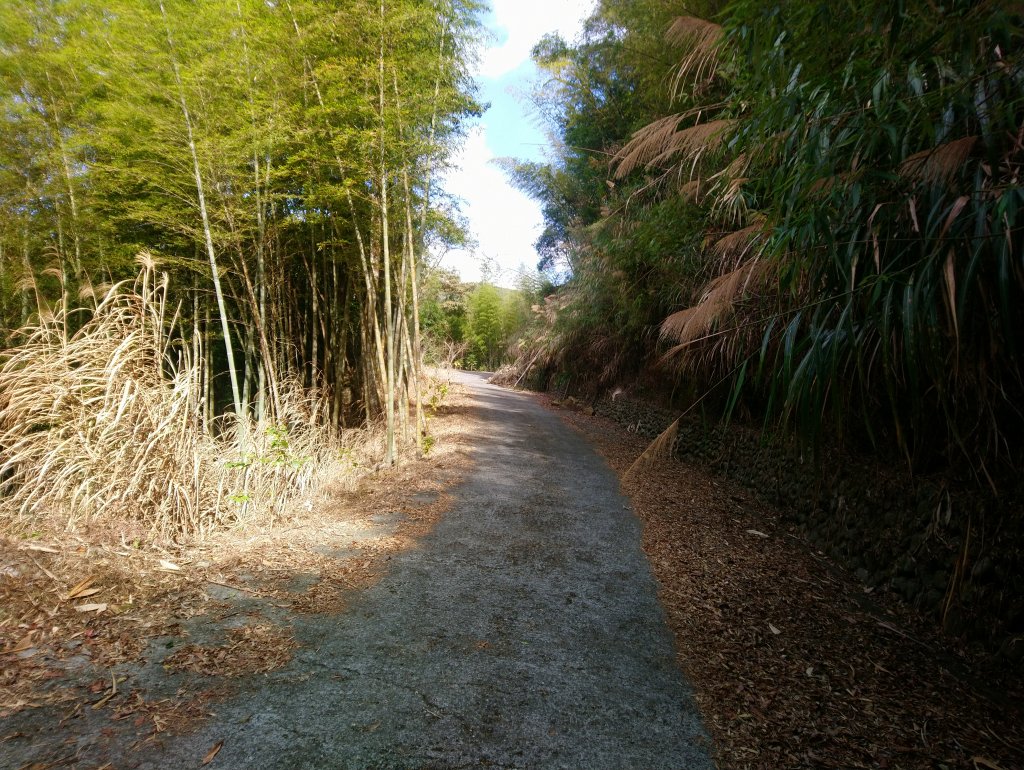 石壁山 好望角 嘉南雲峰 O型 南側進_813304