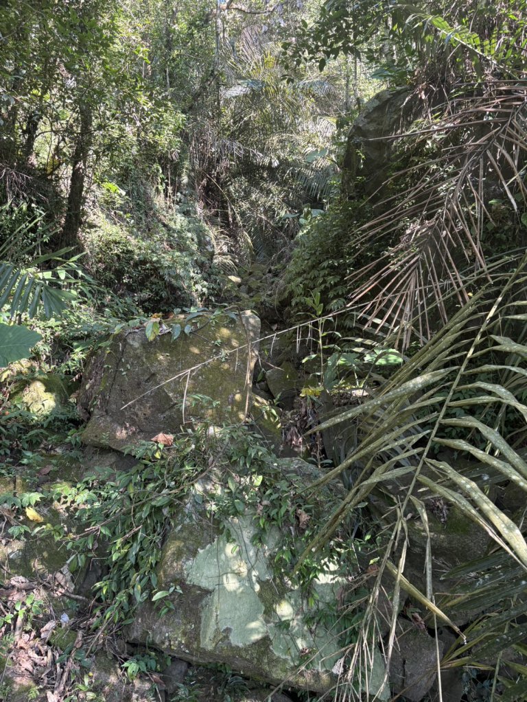 20251122獨立山國家步道+觀音石山+阿拔泉山_2944268