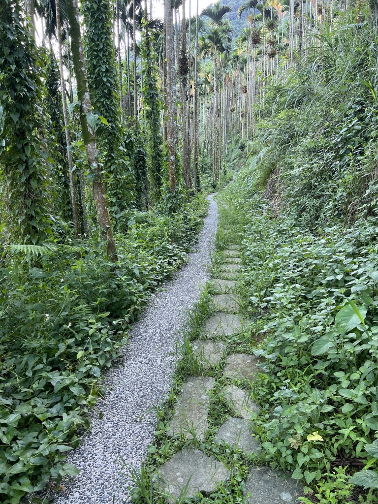 竹子尖山步道｜梅峰古道上～梅龍步道下_1816739