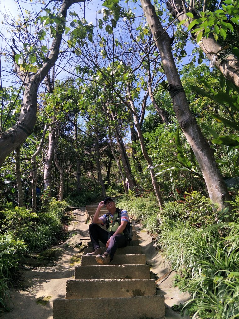 2020 03 16 樹林大棟山_881459