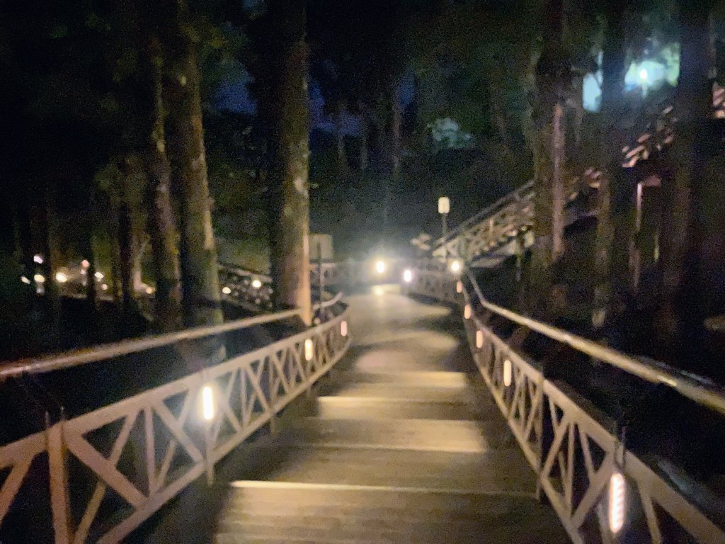 祝山觀日步道(小笠原山)_2649586