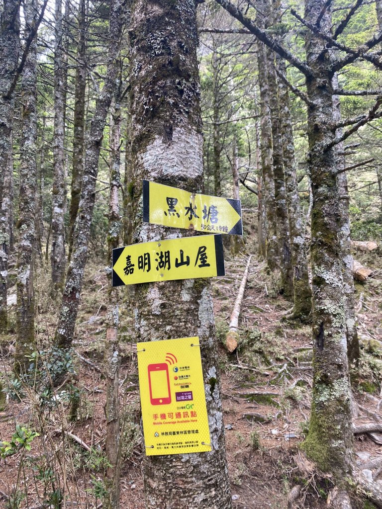 2022/06/02-2022/06/03(兩天一夜-嘉明湖/向陽山/三叉山)_1728593