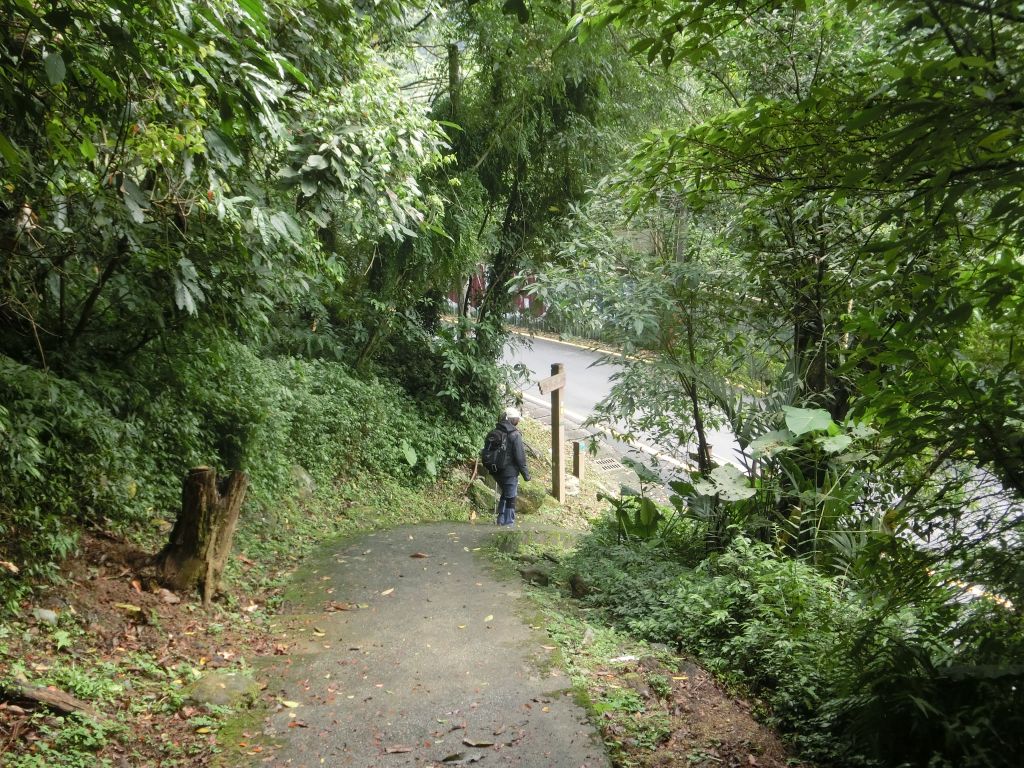 大成殿步道．茶香環狀步道_305369