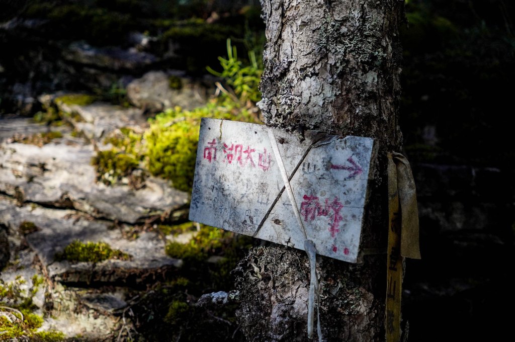 帝王之座-南湖主峰線｜南湖大山＋南湖南峰＋巴巴山_2884953