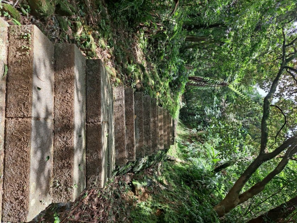 20230911淡蘭古道中段：五分山步道-暖東舊道_2446773