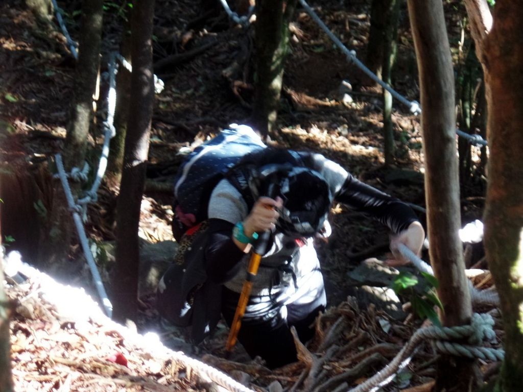 2018/1/14 橫嶺山_305264