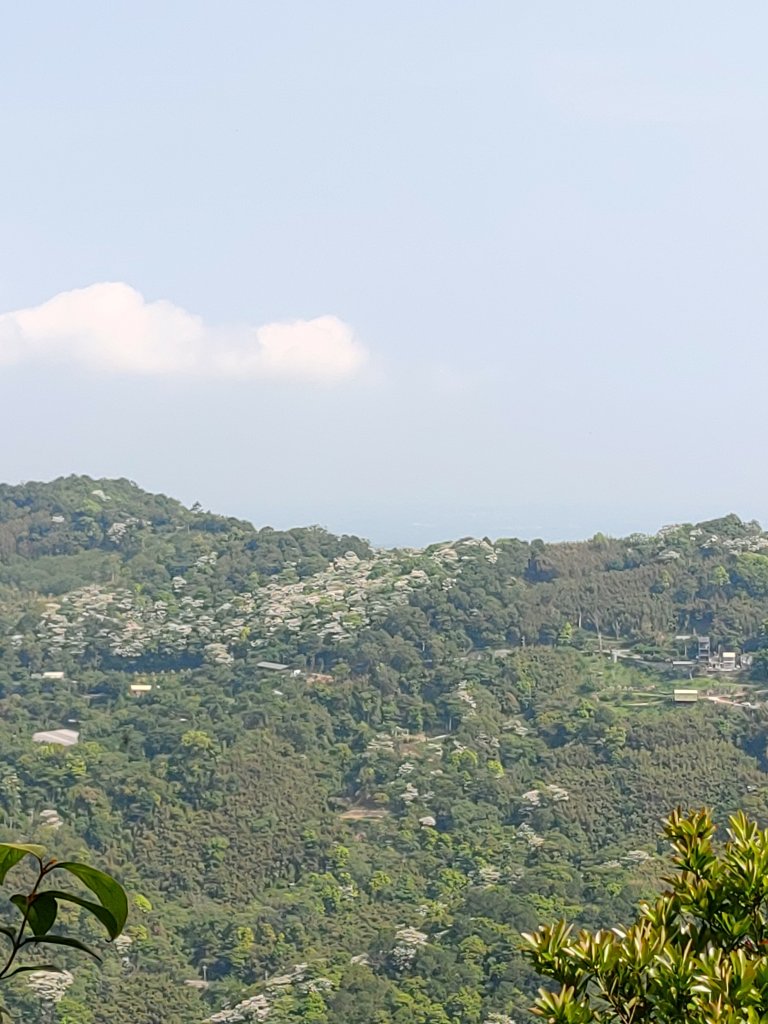 出關古道：聖關段(關刀山步道)_2144926