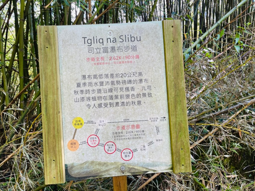 1140825司馬庫斯新巨木園區-司立富瀑布-部落觀景台_2871233