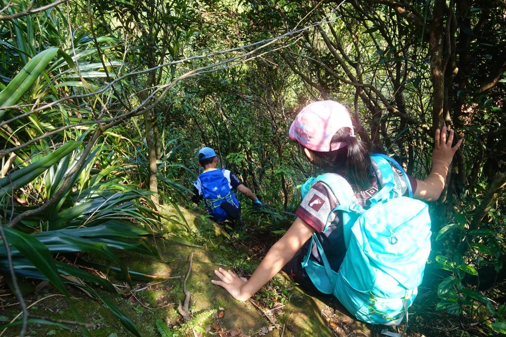 親子健行-獅蛇縱走_871773