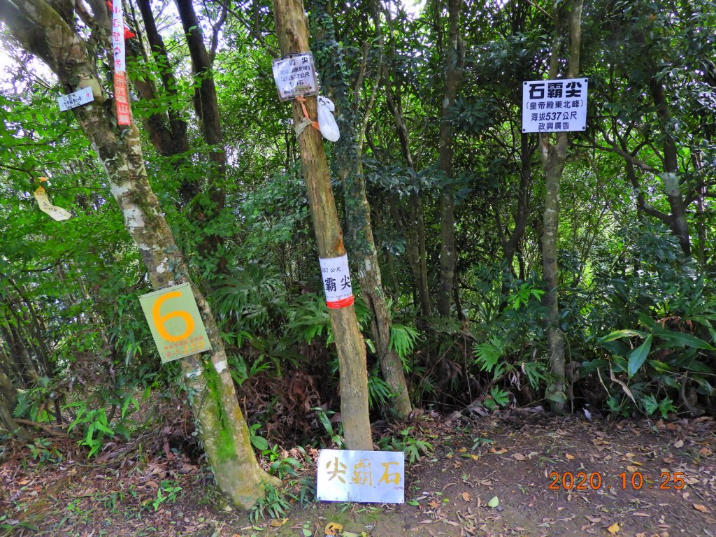 新北 石碇 永定坑山、鳥嘴尖、石霸尖_1143358