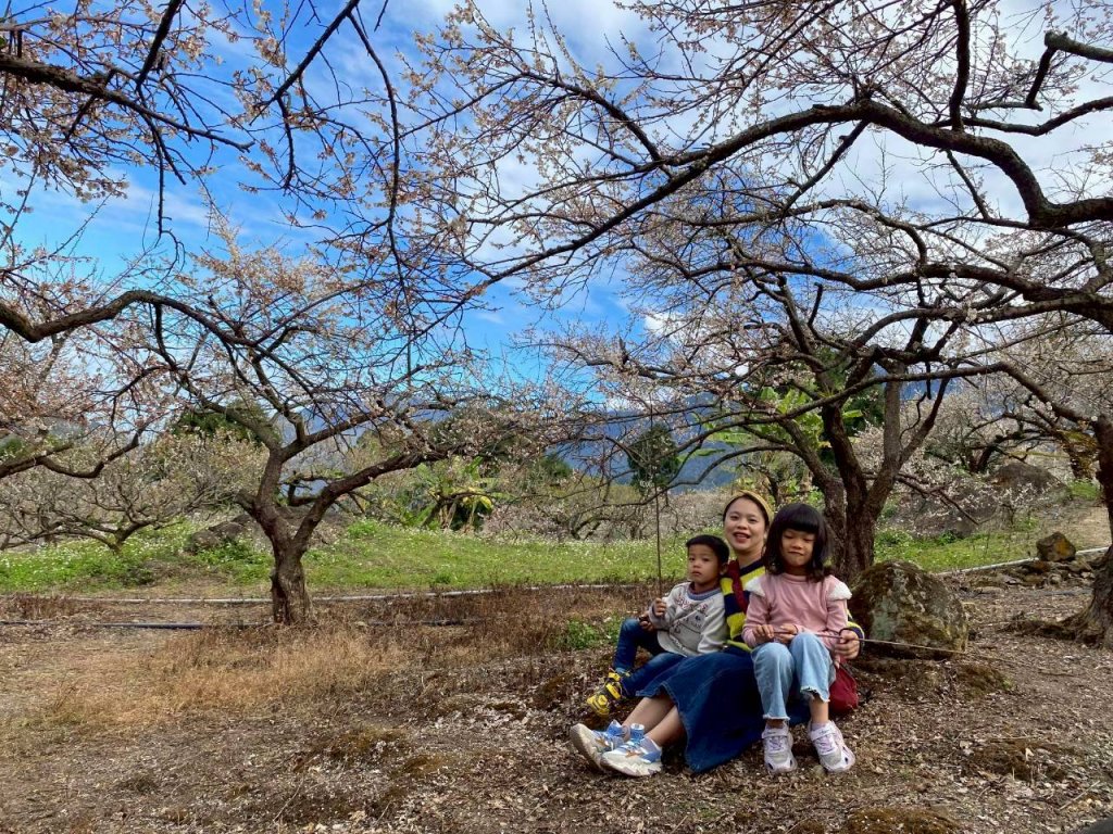 🌈1/17（六）蔡家古厝賞梅×梅子夢工廠×車埕老街✨FB：熊熊趴爬走🌈_2983918