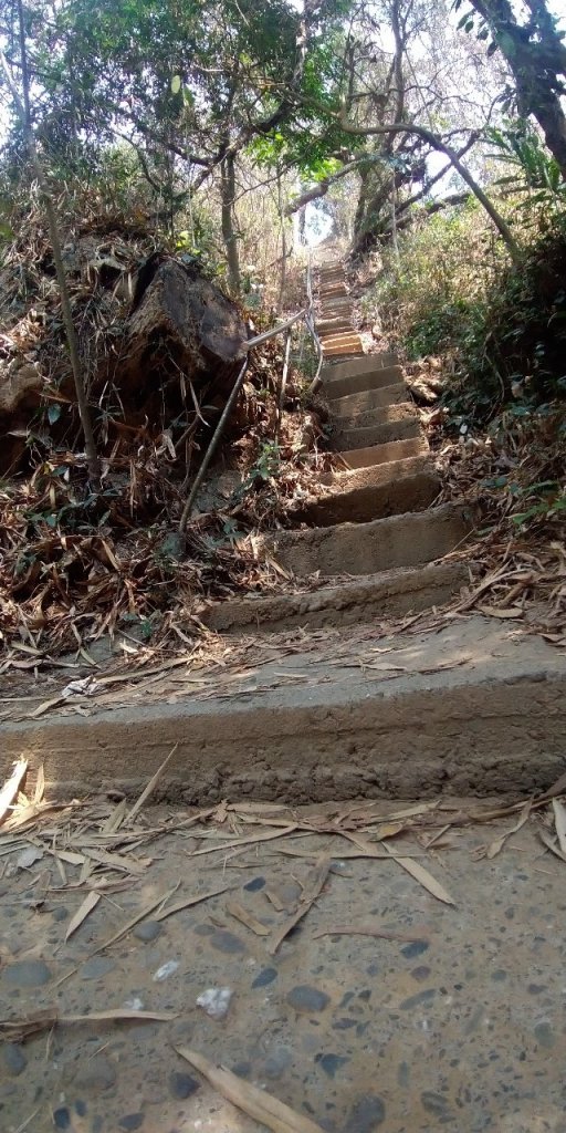 2021.04.03觀音山步道_1497208