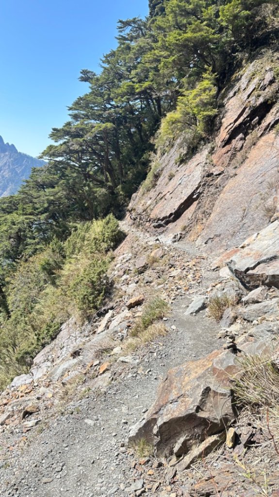 東埔-排雲-玉山西峰-玉山主峰_2753154