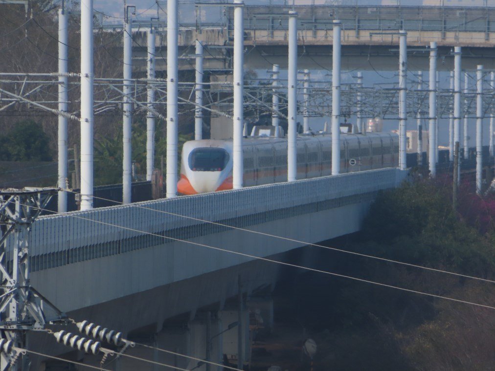 水流東桐花步道_1900244
